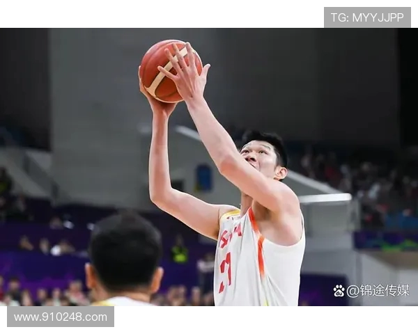 南京篮球队实力引发热议球迷对球队表现看法不一