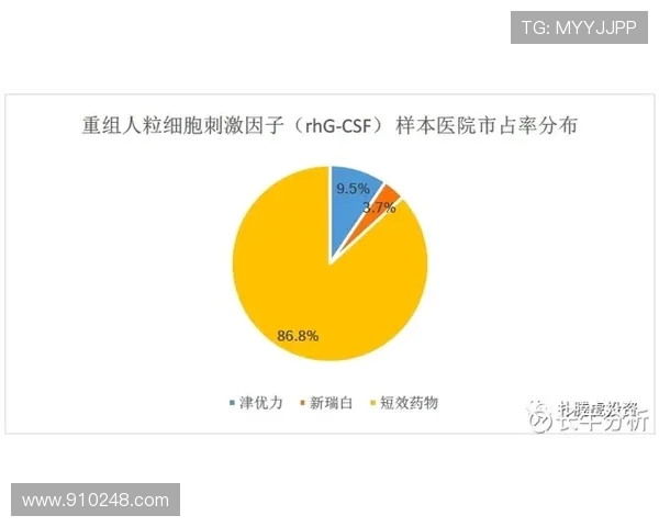 武汉飞盘队实力对比深度解析与其他队伍的竞争优势分析